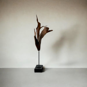 Exotic Wood Sculpture 6 - BAEI Design Atelier